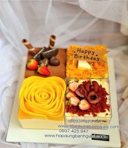 Hộp mica vuông đựng bánh lạnh - Hộp vuông đựng tiramisu - Hộp bánh mousse vuông - Hộp mica vuông