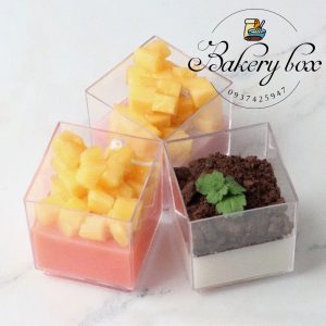Hộp Mica Vuông Nhỏ 4248 Đựng Tiramisu - Panna Cotta - Cheesecake