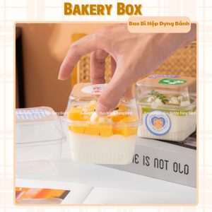 HỘP NHƯA XY585 ĐỰNG BÁNH MANG ĐI