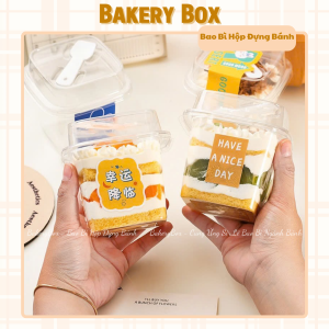B10 KÈM MUỖNG ĐỰNG BÁNH LẠNH, BÁNH KEM MINI