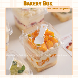 HỘP B10 KÈM MUỖNG NHỰA, ĐỰNG BÁNH LẠNH