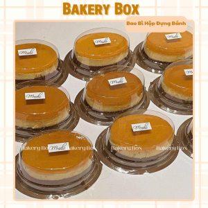 HỘP ĐỰNG VỪA KHUÔN D04, HỘP NHỰA F71