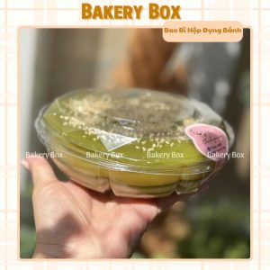 HỘP H166 ĐỰNG GỎI GÀ, BÁNH TRÁNG