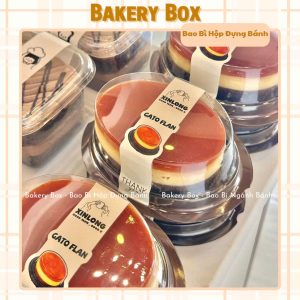 HỘP NHỰA F71 ĐỰNG VỪA KHUÔN D04