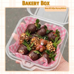 HỘP NHỰA PET NẮP GẬP ĐỰNG BÁNH NGỌT, SOCOLA