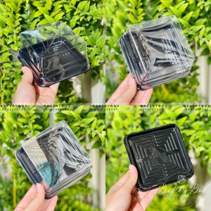 XY10-10 ĐẾ ĐEN ĐỰNG RAU CÂU HOA NỔI